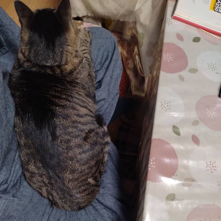 1b3ee8b4 13cb 41f1 88ac 665d1f8870ff 1666135688650