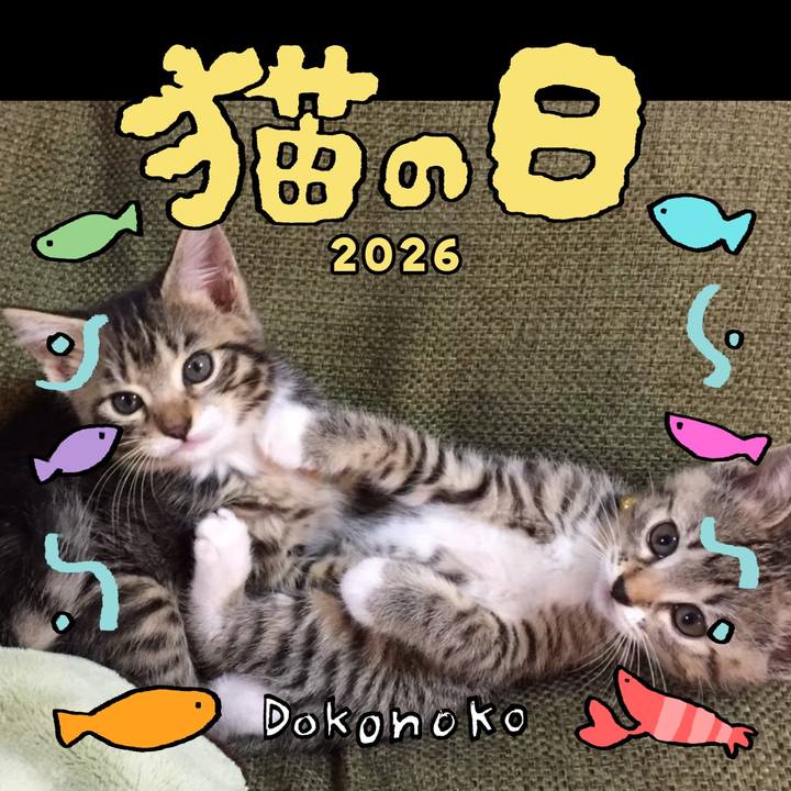 1b3ee9d4 2894 4329 9a37 d123e2bbf062 1771765207126