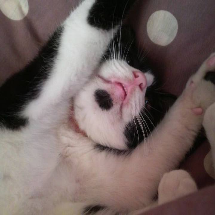 1b3f3e5d f015 4166 bab7 91734e4fa356 1600746838739