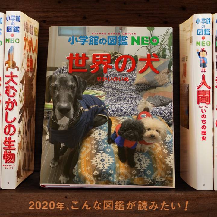 1b3f409f 2bed 4d76 8863 bfae91aa7d6c 1578200797701