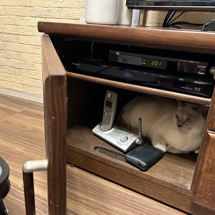 1b3f45d4 d8cb 4c07 a5c7 310e99eb4213 1737027614863