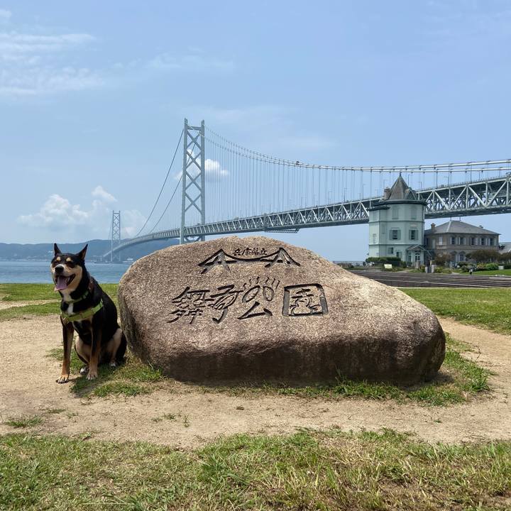 1b3f920c a5c0 469a 9b0d 7e37be8d8e82 1624578700194