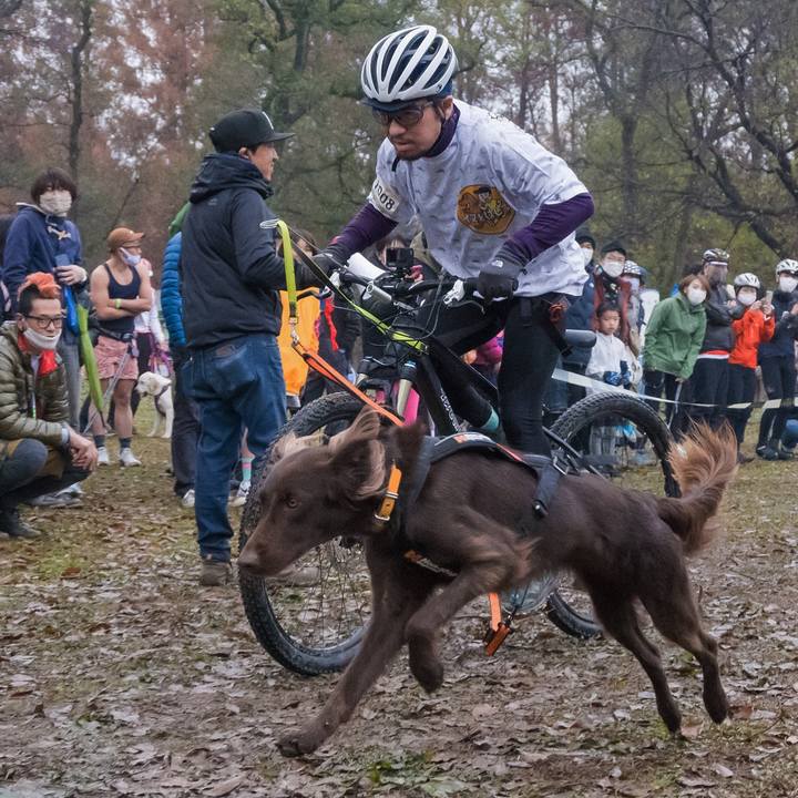 1b3fc299 fedc 4f5f ad1a 9d894802e5ba 1610601830641