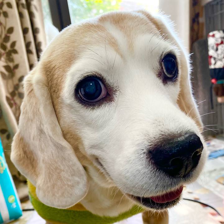 1b40073d f91b 4dca aee5 a6449014b476 1640145640580