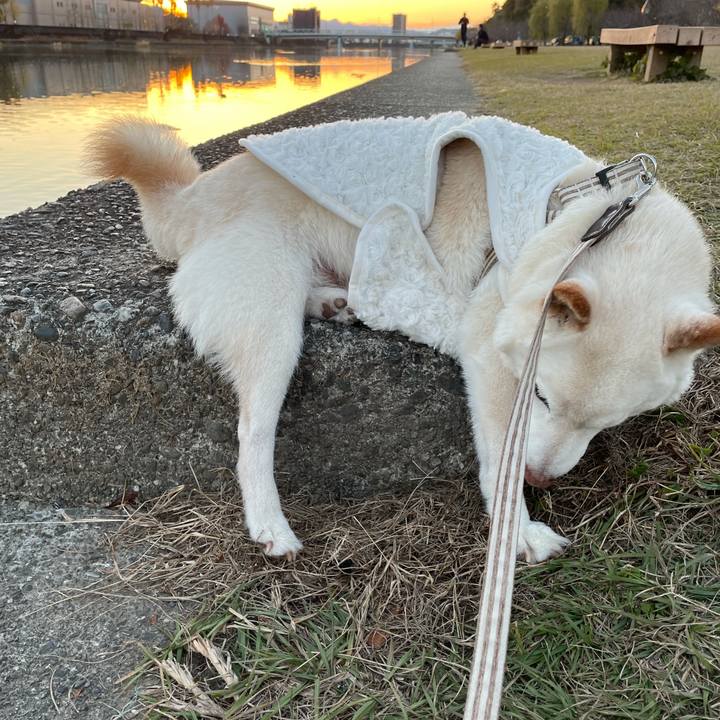 1b40288b 40e0 4179 9d9e 7632953ba909 1638704610612