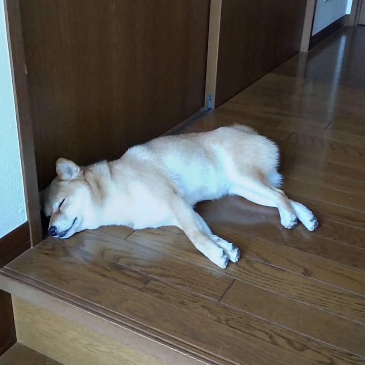 1b404598 fcfc 4f99 a6df 12ad04dbbc83 1659046476310