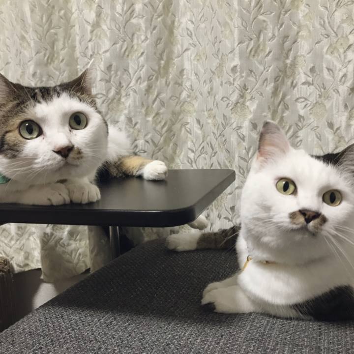 1b406d1b ded9 44a3 8406 c1904466c5ee 1564980284862