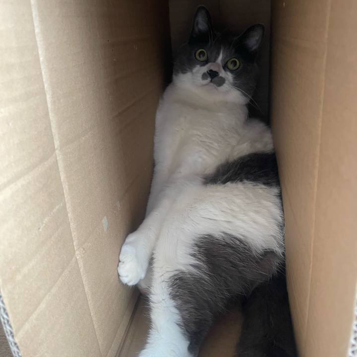 1b4081cc cffc 4ef9 a8dd 7e73a9970068 1735791913465