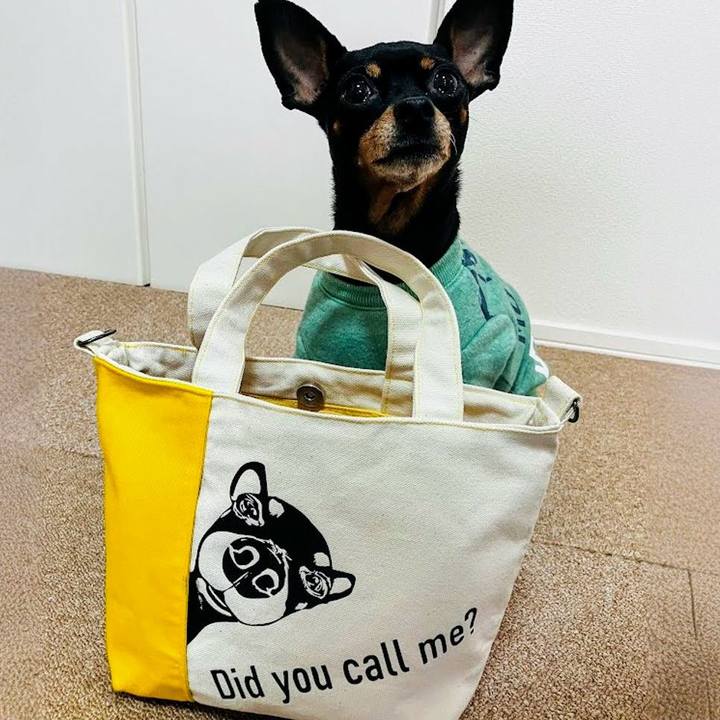 1b408a50 7137 4160 858d 9d62c5414d9c 1709675010053