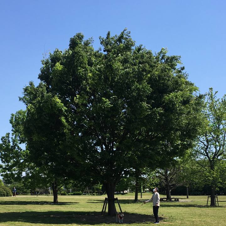 1b409d1d 8454 44dd 890d 46782e470a8b 1619413854986