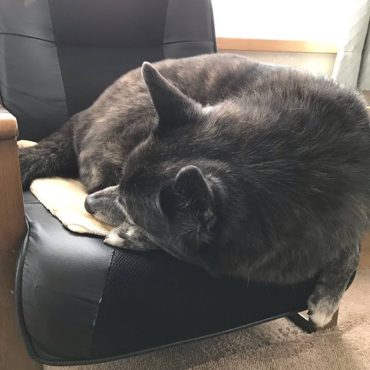 1b40a6c7 8978 4adc 9adb c9875516813c 1573042129264