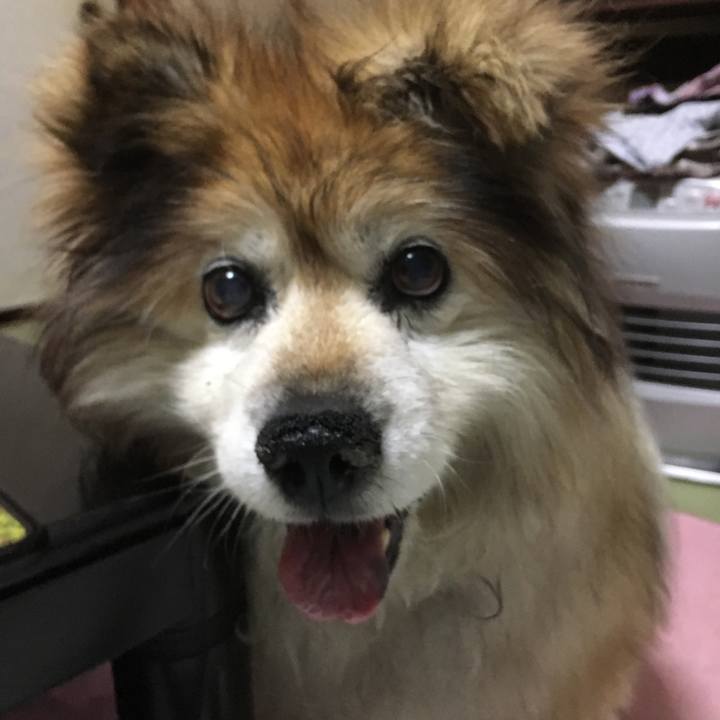 1b40ce4e 6732 449d bc49 0cf56b064f35 1558778588768