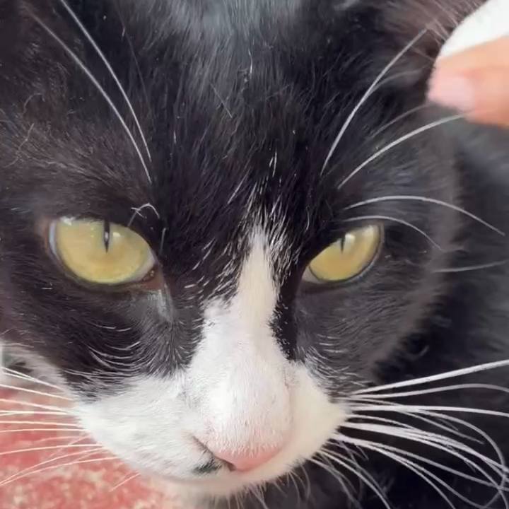 1b40d37b 41b0 4761 8f98 55891844fc30 1760428301397