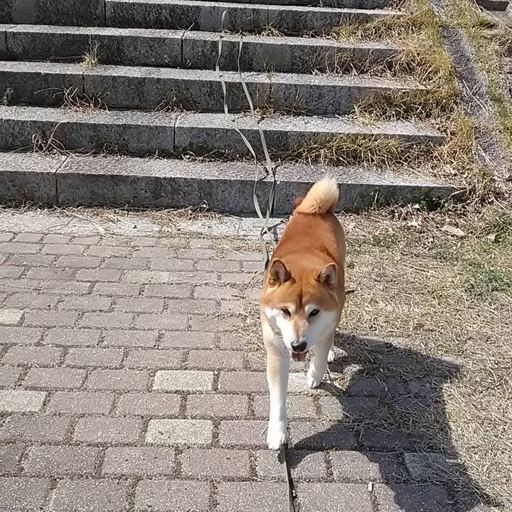 1b40fc46 89fe 4abe 9d07 0c27254519fc 1616488973829