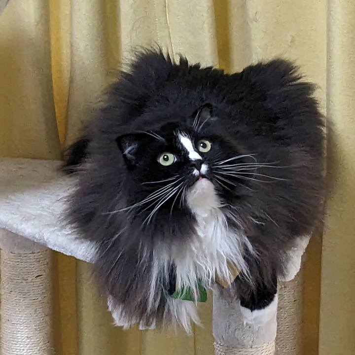 1b410dde 2a17 49e9 a4ef 38fdd2ff96f6 1694905221049