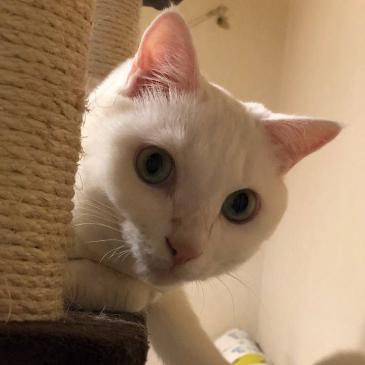 1b411000 7c2a 45c8 9a92 4e75f12d2526 1531831493805