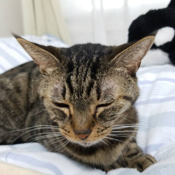 1b411827 17fd 4086 a115 6c9acf3aeb81 1569360857705