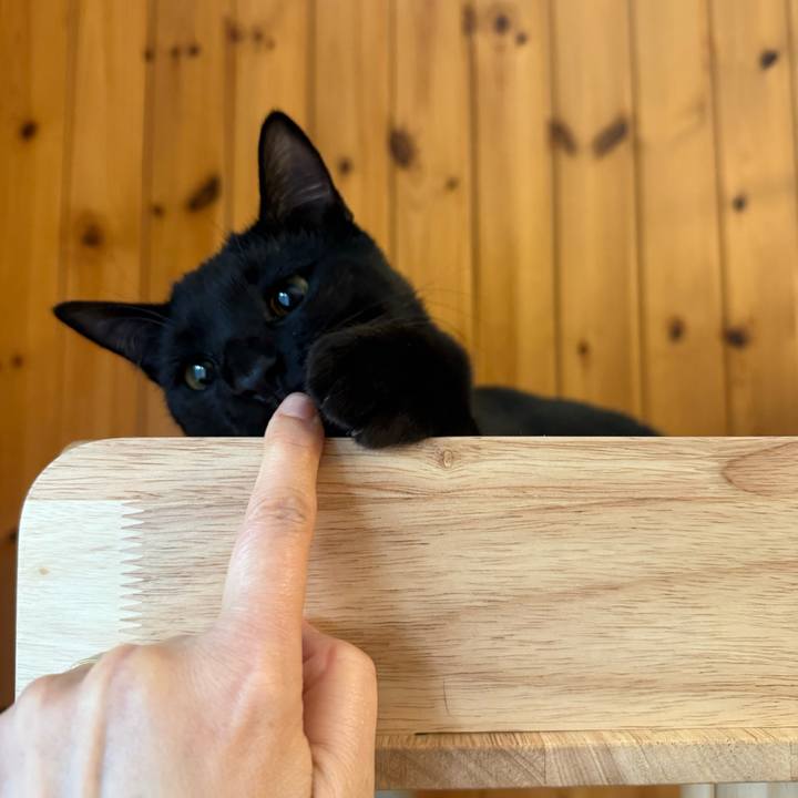 1b41544b 5043 479e a575 9afd2d49846d 1766274112690