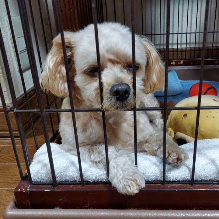 1b4164ac f8e0 4c18 b08b 03170dc914cc 1631259760194