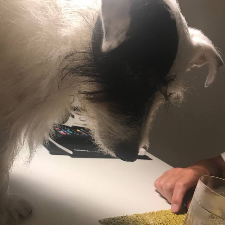 1b416bd4 e723 4ab7 a5ac 5807863cfdc3 1537269908975