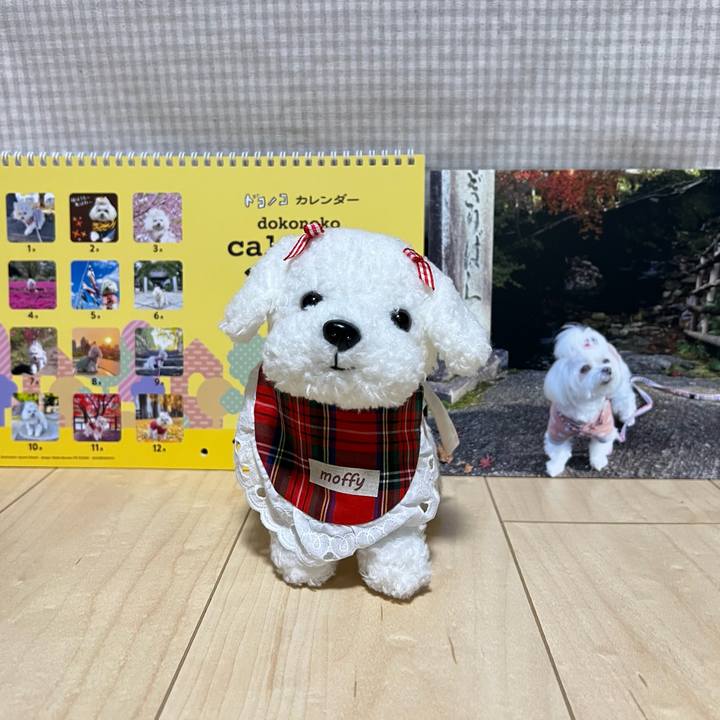 1b416d80 ab49 49d4 94a7 49cbfc298b1e 1766406410917