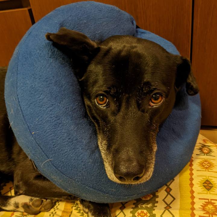 1b416eec d4db 4026 af49 4aab6647459d 1683904835911