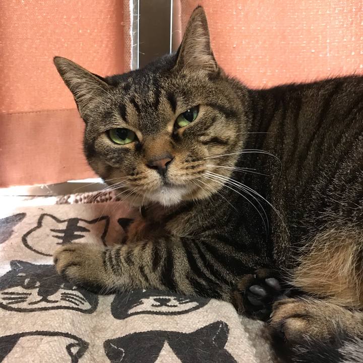 1b417140 2e75 442c 9af3 01331975cd0c 1591131604488