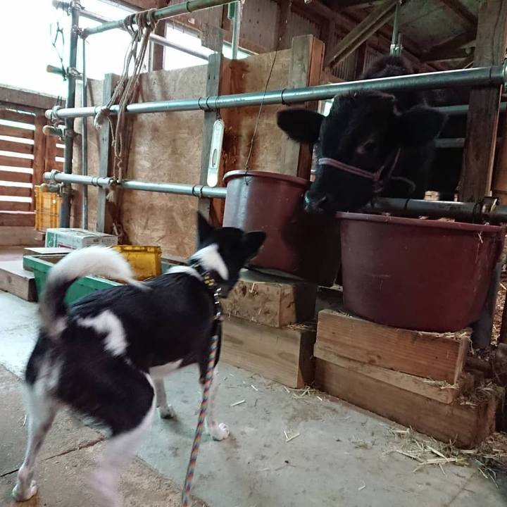 1b4187e5 463d 4d8b ad59 e994c800e666 1542016078031