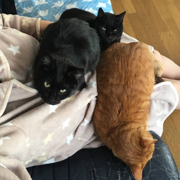 1b41eac7 d3c0 440d a846 a5044da4b7bb 1544315650917