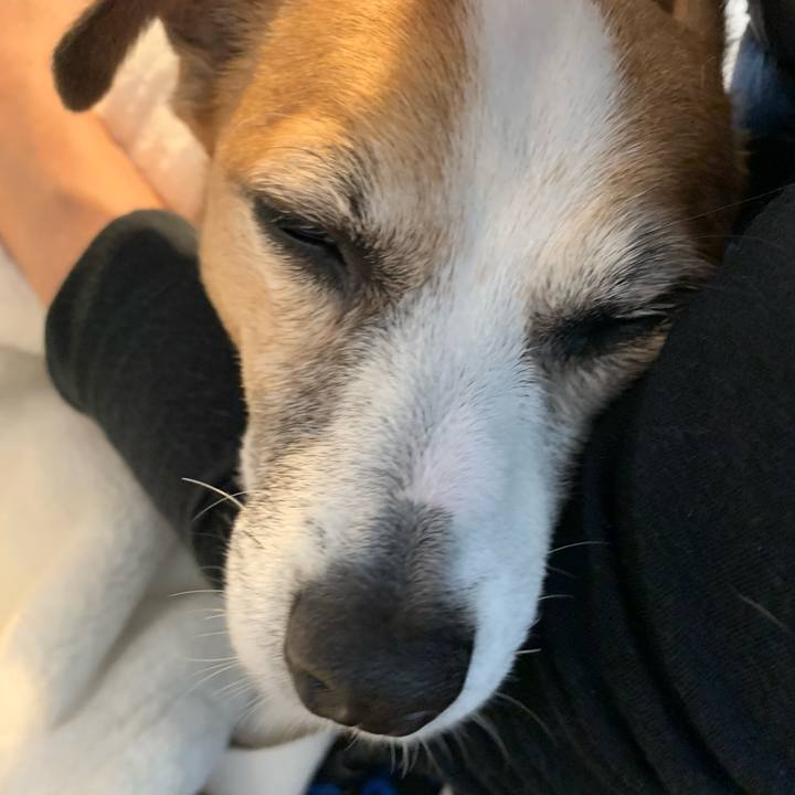 1b421332 c99f 4c23 815a 858d0228f61d 1635661123608