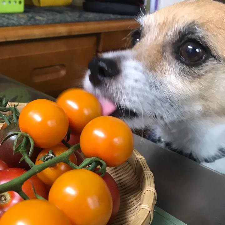 1b4247ba d1ba 41e0 9ff2 bb2d84e3020a 1539168627970