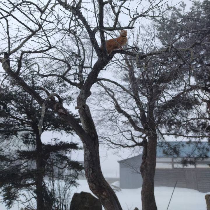 1b425227 68c6 4c98 85a4 ba6277484f32 1707518895546