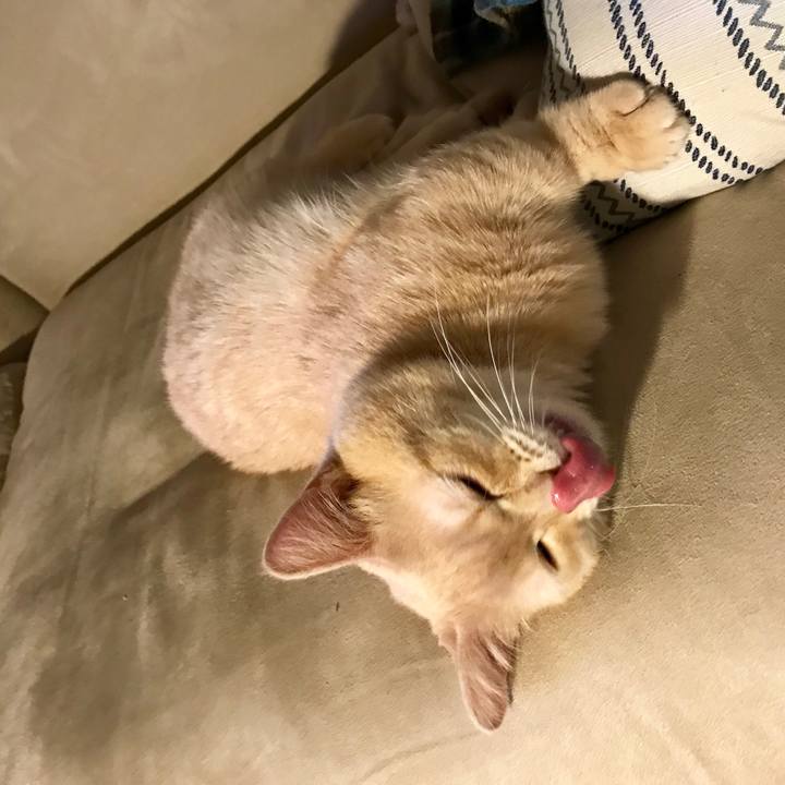 1b427695 5ae5 4e13 91cd c6e9abf7e384 1524004384644