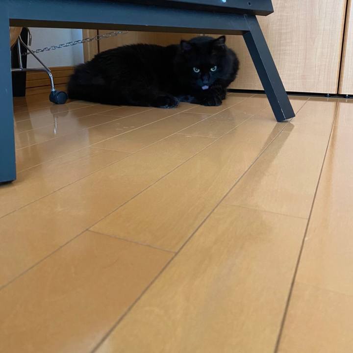 1b4277ca 6d04 4c59 a055 55ed1da5539d 1592265006120