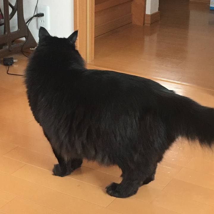 1b427bb5 c73d 473d af90 1996425792b7 1552477802211