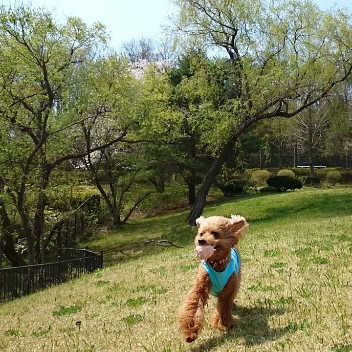 1b428460 eca0 43fc 9db2 632e077e95d9 1524231158481