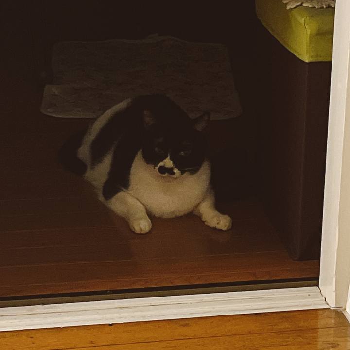 1b42a408 e04c 4b26 9b3f baadc84941a7 1653640410234