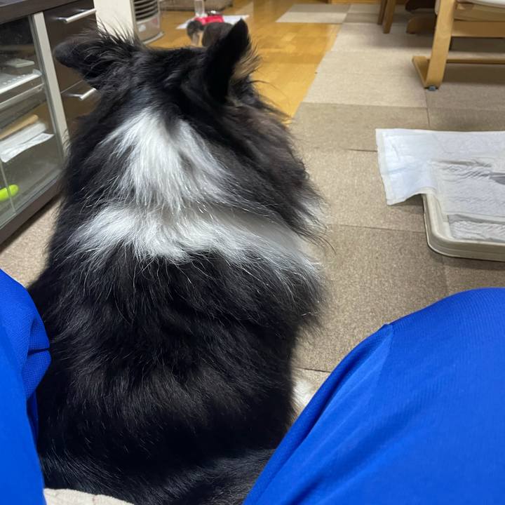 1b42a816 b11f 43e8 81b4 2afe8bf969ba 1621251635899