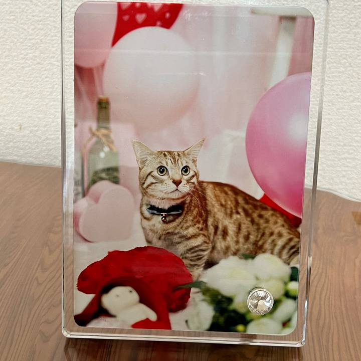 1b42d54f 42a5 43b5 9363 a14529eec017 1673742017886