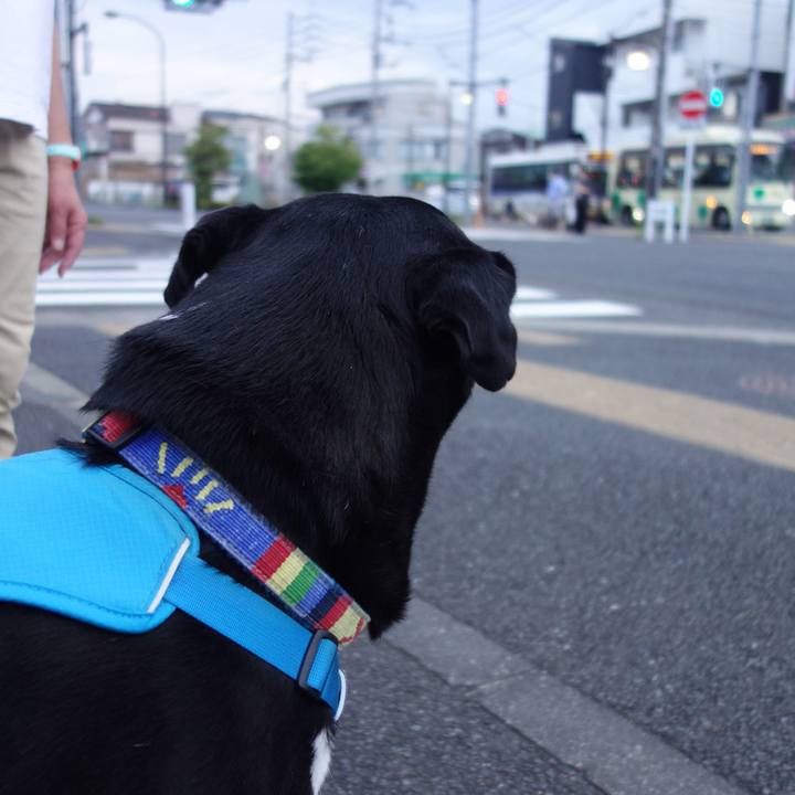 1b42fd4f b74c 41f1 aaef 920b45f2630e 1688812882402