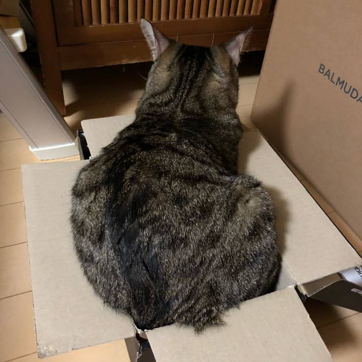 1b433d01 256f 487b 8a72 6918bee7e6bf 1536266402156