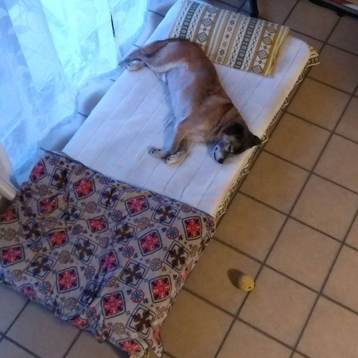 1b4347bd a979 4e0a a0f2 d818830706f7 1574859753047