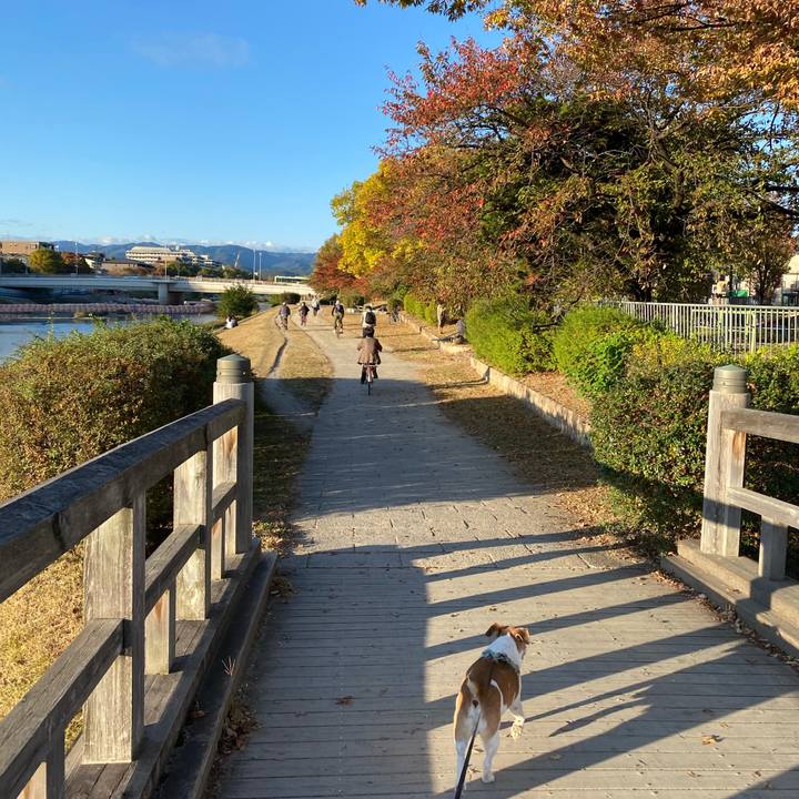 1b437315 d955 420e ad98 c7d3eb587157 1636271158639