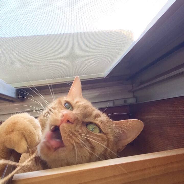 1b4385b0 fcfa 43a0 a1d7 0b90a56a7092 1525589865167