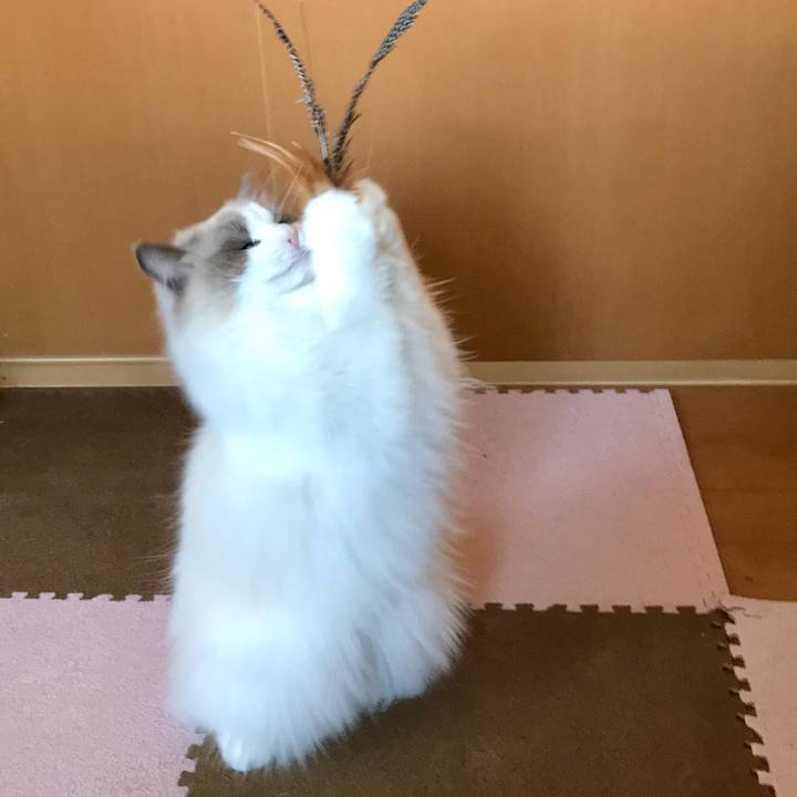 1b438d0a 042a 4a29 977f 3e9c638a82af 1584426493498