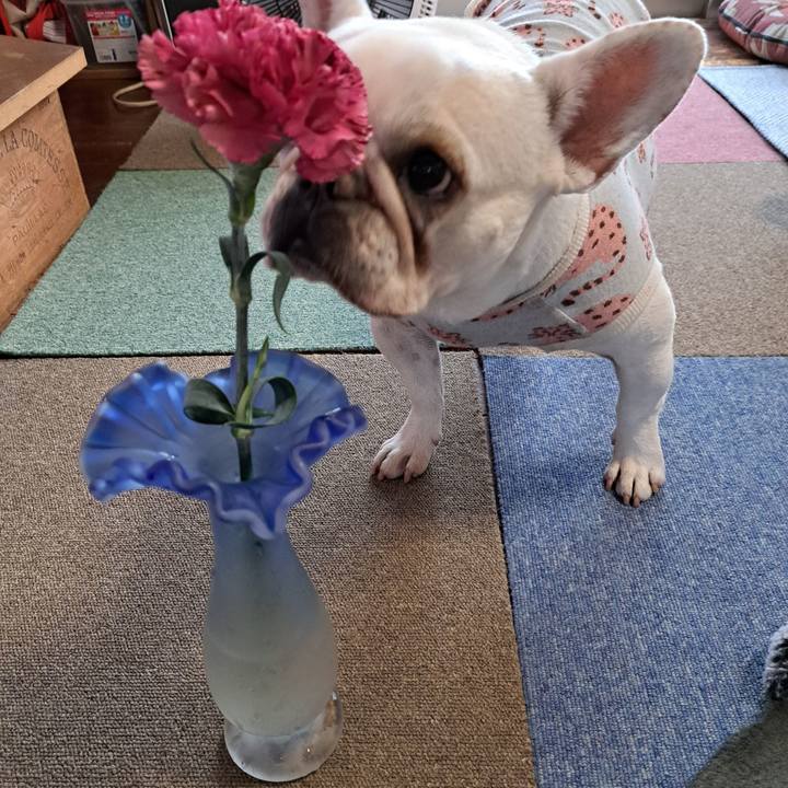 1b439cf4 3125 4337 87c7 0c3ab273b264 1714640994383