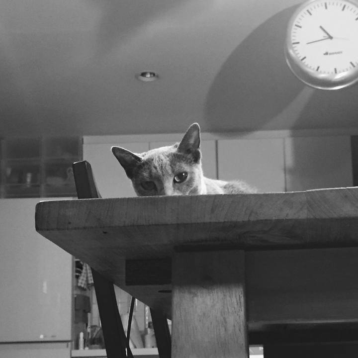 1b43c042 44e3 4503 94a1 7b47a8c47c0b 1523575212142