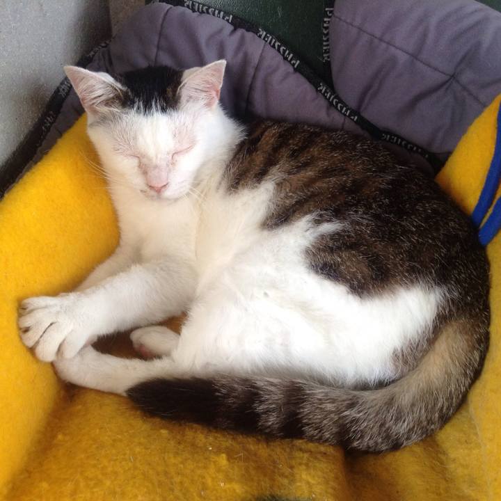 1b43f0ac 119c 4aeb befb 3db1f00b0e5e 1529812526088