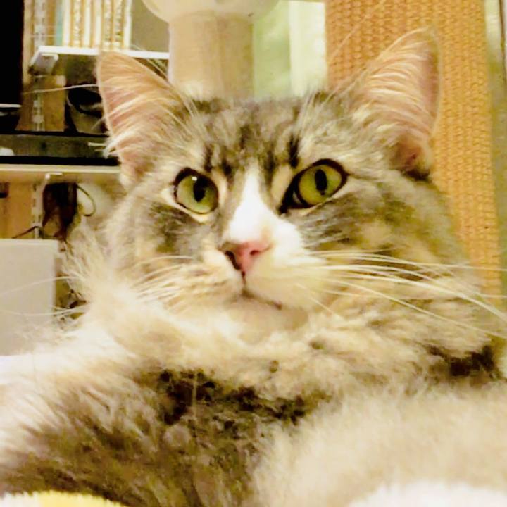 1b43f127 cb6e 4903 a25c 920c49e5a919 1526752943888