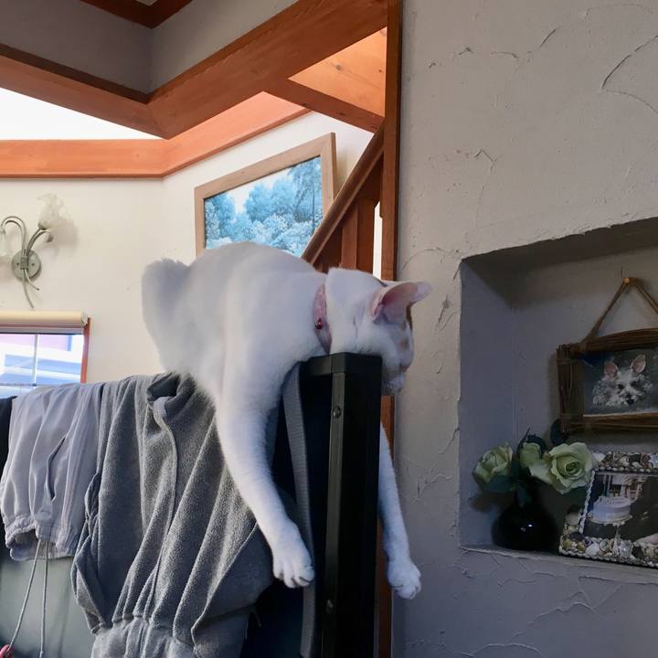 1b443586 957c 448d 957a 639fb66b19e8 1542279744764